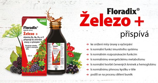 Floradix železo Floradix železo